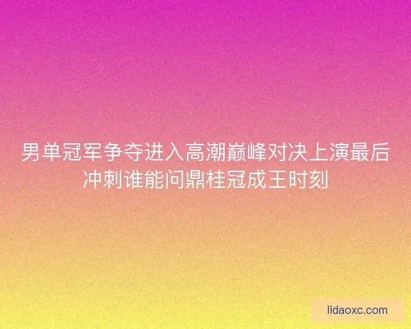 男单冠军争夺进入高潮巅峰对决上演最后冲刺谁能问鼎桂冠成王时刻